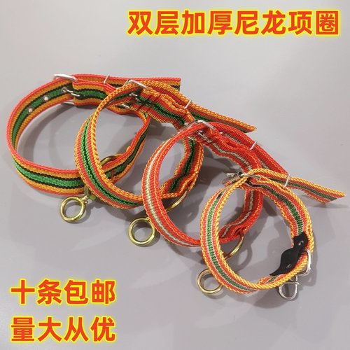 狗狗项圈可调节小中型犬脖圈
