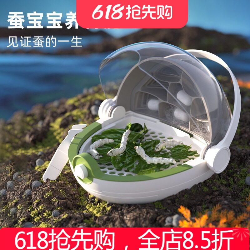 科学罐头蚕生养蚕套装儿