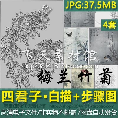 四君子梅兰竹菊工笔画线描稿加上色步骤彩图临摹学习素材电子图