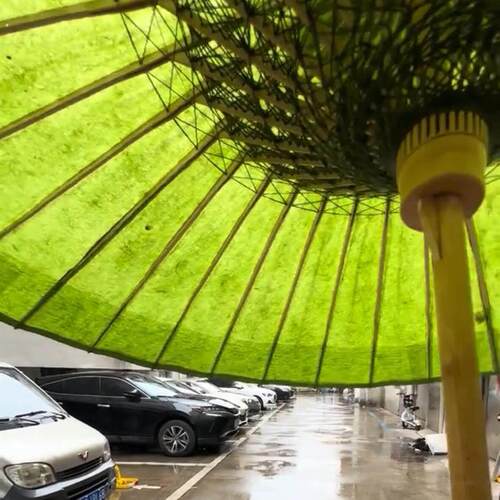 【非遗里的中国年】新中式夏季油纸伞纯手工手造防雨传统古风伞
