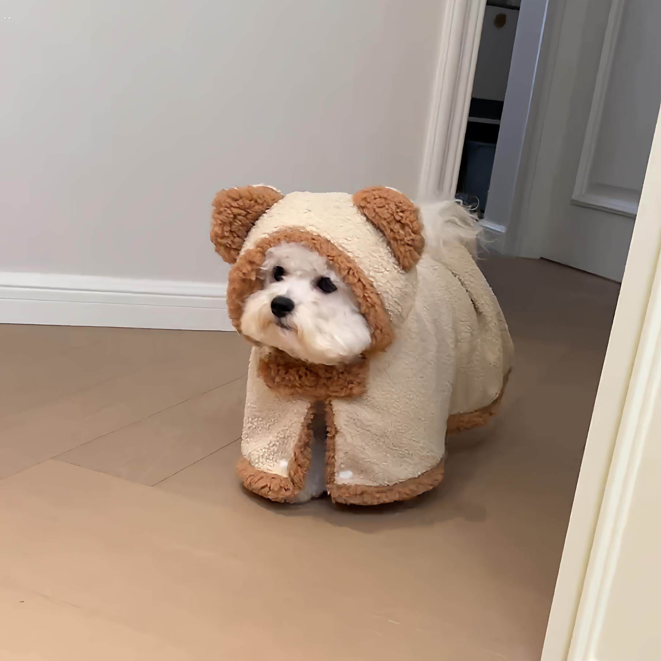 狗狗衣服斗篷披风保暖加厚宠物狗睡袍被子毛毯中小型犬可爱秋冬款