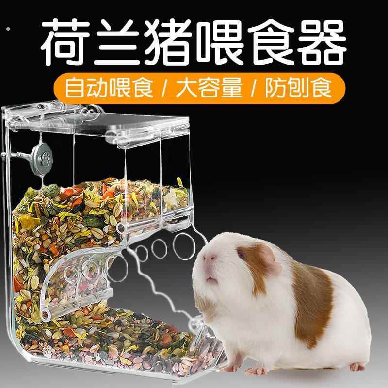 荷兰猪喂食器食盆豚鼠专用固定饭盆碗粮食自动投喂器松鼠用品大全