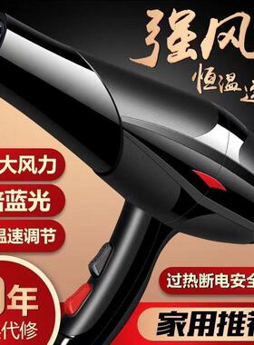 发廊专用吹风机家用大风力负离子护发理髲店大功率速干冷热风筒