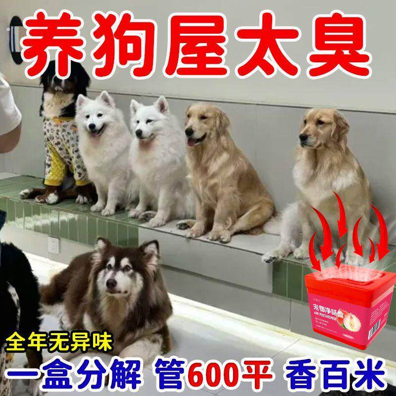 宠物除味魔盒除臭室内去味狗猫去尿骚味宠物异味用品