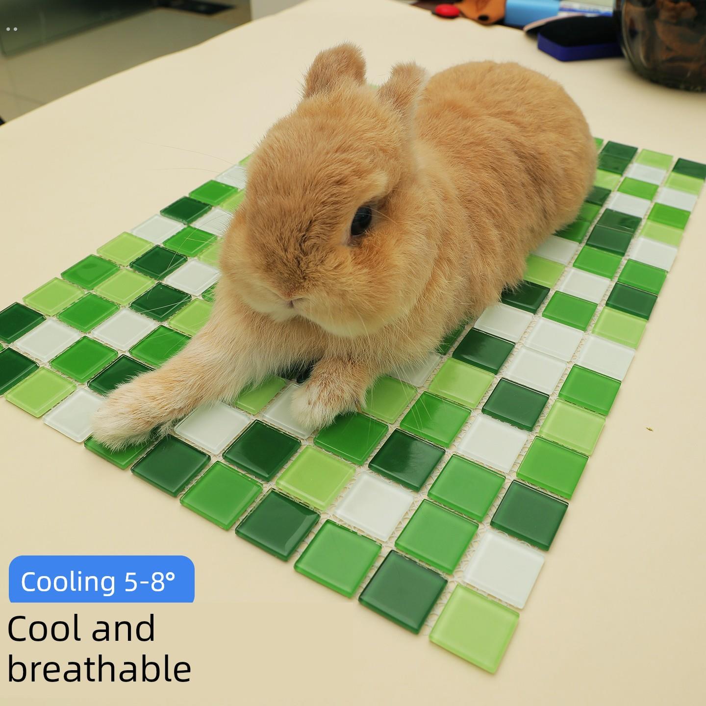 兔子冰垫冷却冰垫龙猫冷却用品宠物冷却板冷却仓鼠豚鼠兔子冰窝