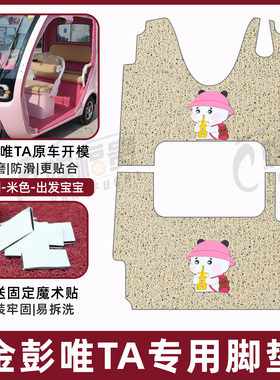 适用金彭唯TA电动三轮车脚垫JP1000DZK-8A防水防滑加厚丝圈踏踩垫
