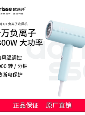 欧莱诗负离子护发家用宿舍恒温