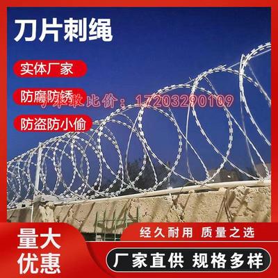 热镀锌刀片刺绳侵塑防爬刺网刺丝滚笼铁蒺藜防盗围墙网监狱防护网