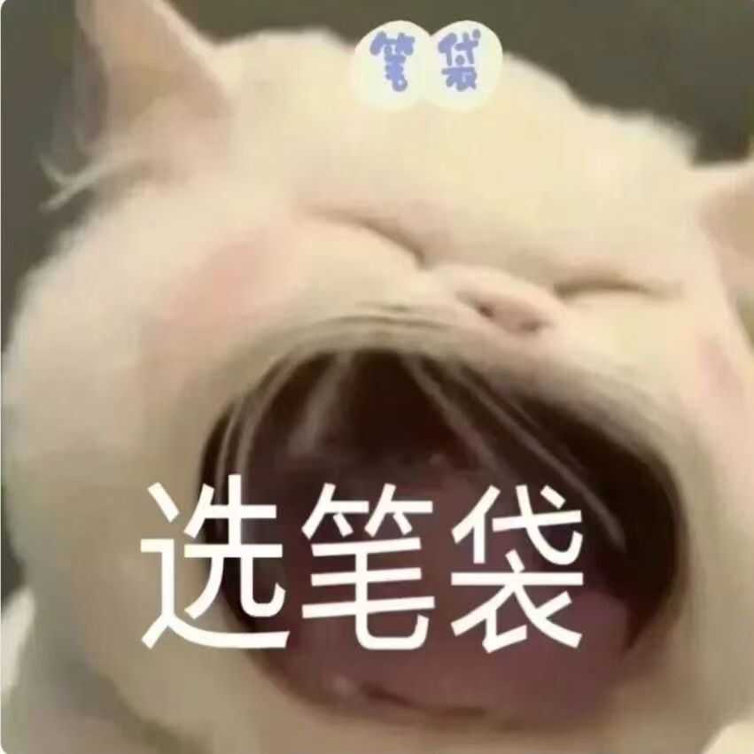 选笔袋大合集初高中小学生文具袋小众大容量铅笔盒创意可爱高颜值