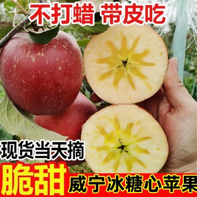 2025新鲜现摘贵州毕节威宁杨华苹果高山冰糖心丑苹果脆甜9斤水果
