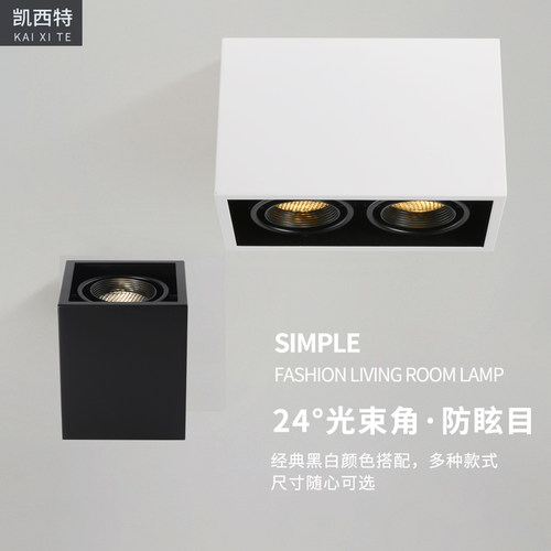 单头明装斗胆灯LED无主灯家装