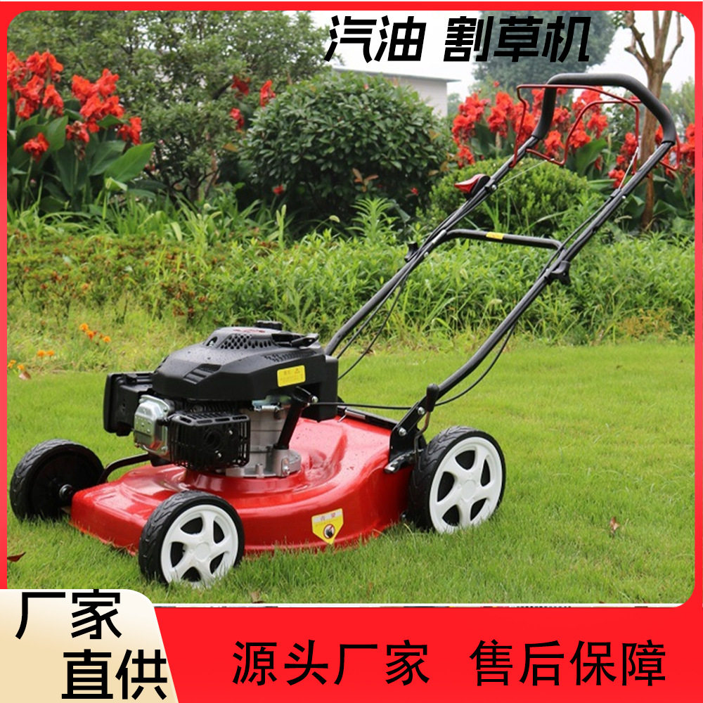 自走式汽油割草机 物业家用草坪碎草除草机手推集草框草坪机,五金/工具,抛光机/地面抛光机,淘宝优惠券,粉丝福利购,淘宝优惠卷