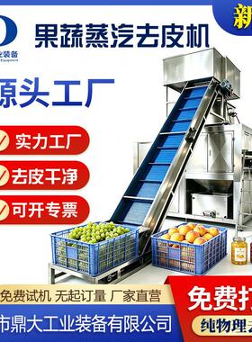 葡萄果粒蒸汽去皮机速冻果蔬流水线水果前处理深加工成套设备