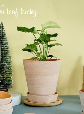 二叶幸运 23新款复古庄园法式风格北欧ins风多肉粗陶手工红陶花盆