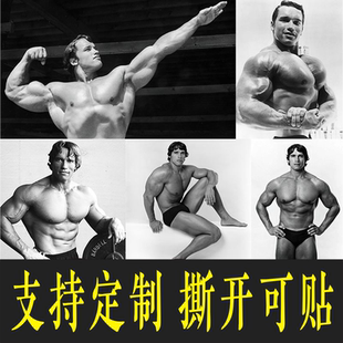 阿诺德施瓦辛格海报健身房励志墙贴壁纸贴纸肌肉男装饰不干胶贴纸