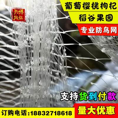 葡萄防鸟网水果树大棚鱼塘养殖尼龙防雹网果园棕丝用网孔围栏阳台