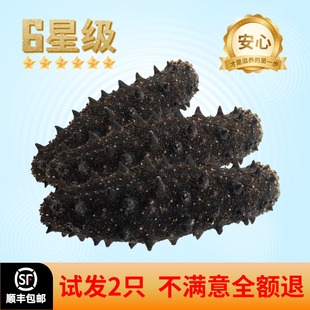 高端野生淡干海参底播海参高品质非即食海参干货纯海参礼盒