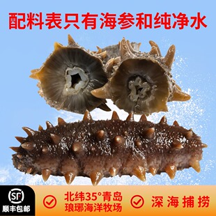 高品质深海即食海参开袋淡干鲜食冷冻刺参孕妇滋补礼品盒独立包装