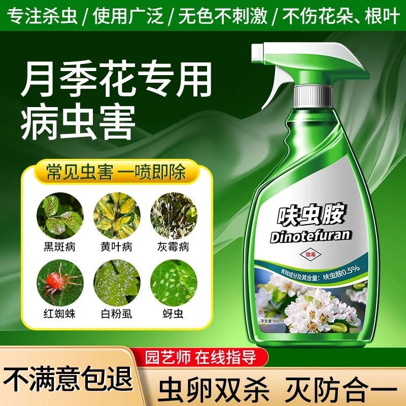 月季花病虫害常用药白粉病黑斑病专用花卉玫瑰杀虫剂非红蜘蛛蚜虫