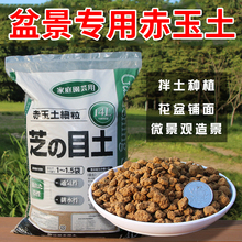 日本盆景专用赤玉土硬质三本线小颗粒多肉爬宠铺面纯赤玉土大包装