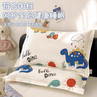 纯棉儿童专用枕套一对装 30x50全棉枕头套单个40x60卡通枕芯内胆套