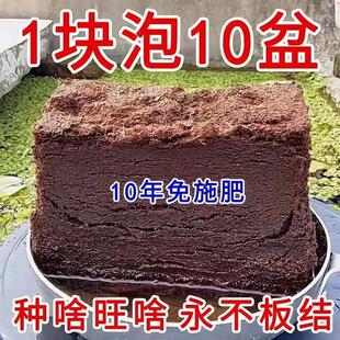 椰砖无菌营养养花压缩通用型椰砖土种花种菜有机脱盐椰糠专用椰土