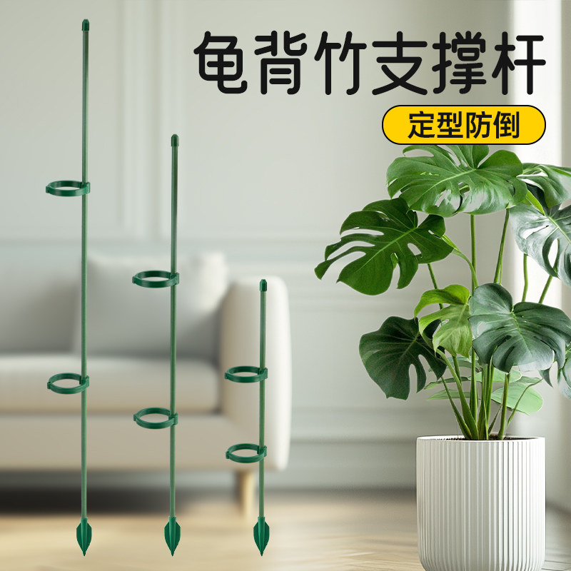 花架龟背芋花卉植物支伸缩杆蝴蝶兰固定神器月季花支撑架防倒伏支