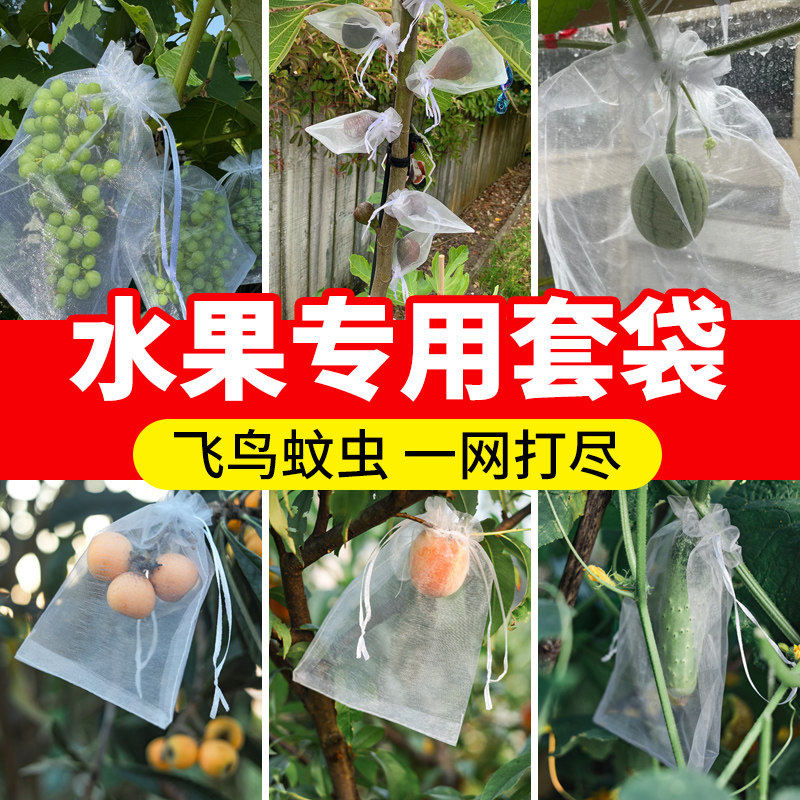 水果套袋防鸟防虫网袋无纺布桃子草莓通用果袋葡萄水果专用保护袋