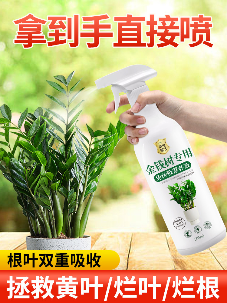 免稀释金钱树专用营养液叶子发黄叶面肥盆栽植物金钱树肥料专用肥