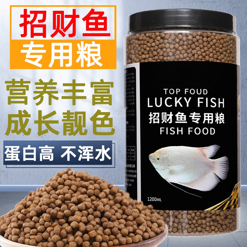 招财鱼饲料专用鱼食烂身地图鱼白战船鱼热带观赏鱼发财鱼鱼粮食防
