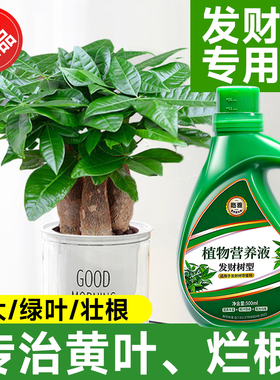 发财树专用营养液肥料肥专治烂根掉叶黄叶室内盆栽绿植物花肥通用