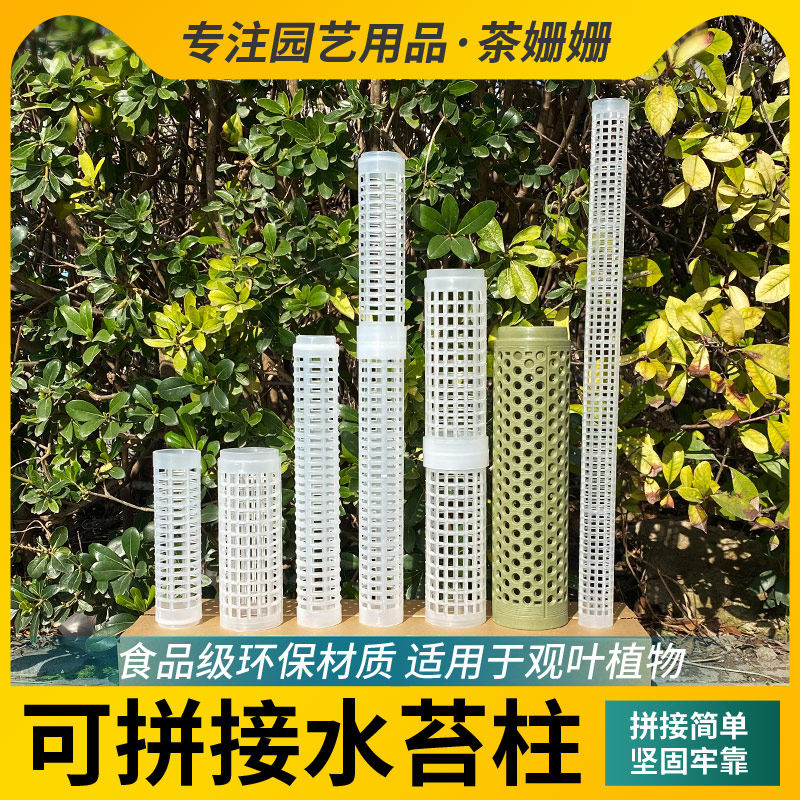 水苔柱棒可拼接增高附生热植绿萝龟背竹攀爬柱蔓绿绒爬藤固定支架