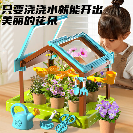 六一节阳光房种植儿童植物小盆栽女孩益智玩具手工diy品生日礼物