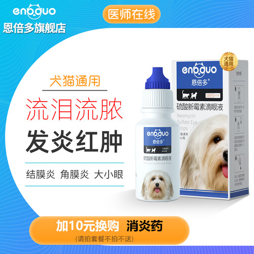 角膜宠物销量排行榜 角膜宠物品牌热度排名 小麦优选