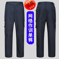 Лето (сетка как брюки)