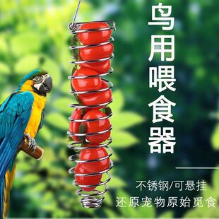 宠物喂食用具鹦鹉玄凤虎皮小鸟水果叉蔬菜苹果鸟用喂食器悬挂进食