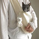 猫包外出便携宠物猫咪狗狗背包斜挎装 猫 小型犬帆布包包单肩猫袋