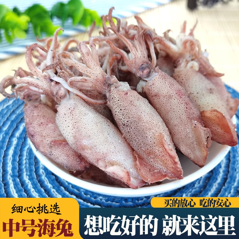 中号海兔500g海兔干墨鱼干海兔子鱿鱼仔海产品笔管