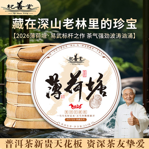 2026年薄荷塘普洱茶生茶饼头春茶