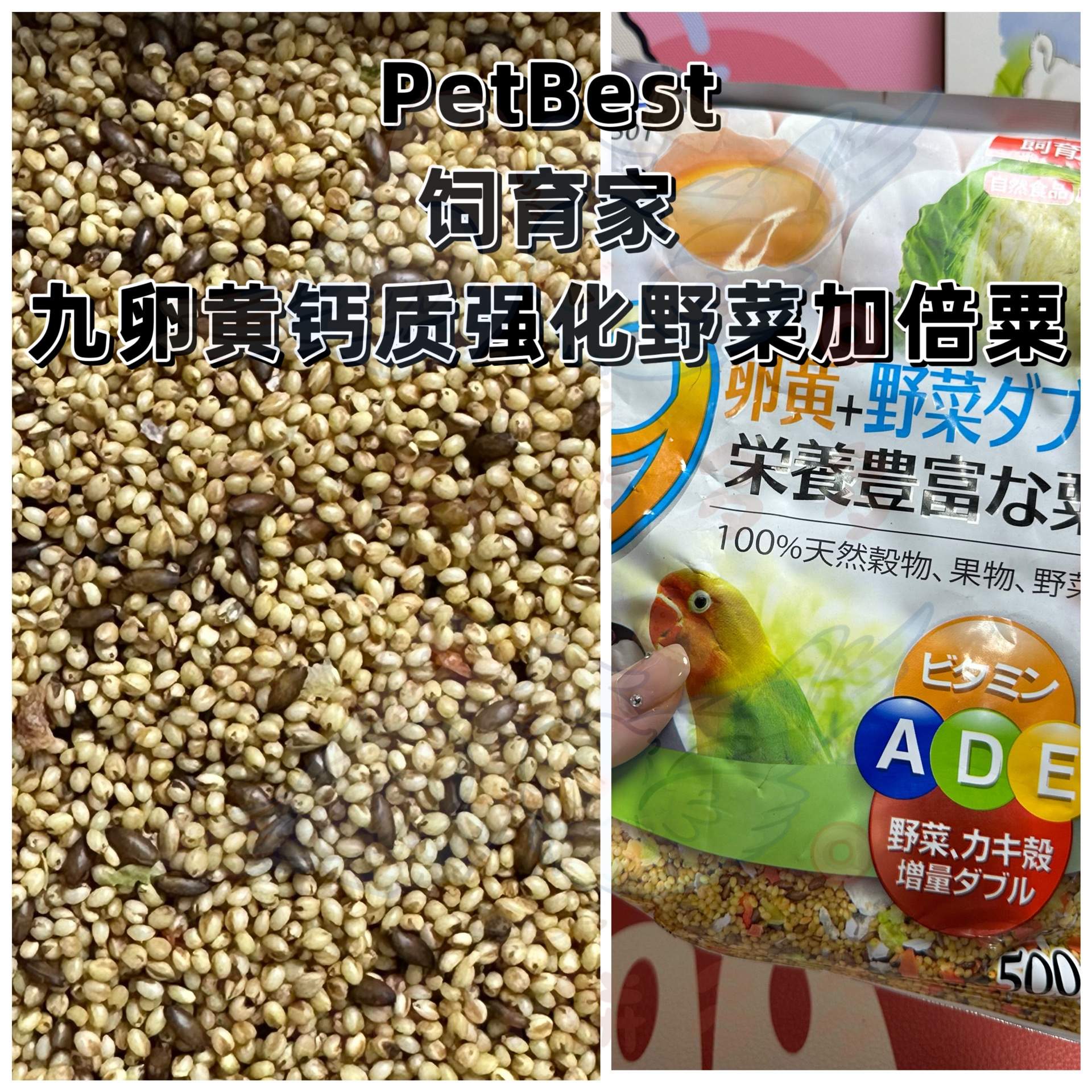 【鹦鹉营养】PetBest饲育家九卵黄钙质强化野菜加倍粟