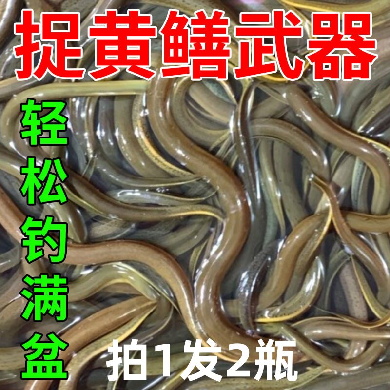 擒鳝王黑坑野钓虾类鳖类