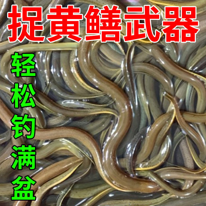 擒鳝王黑坑野钓虾类鳖类