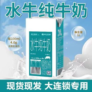 广西西江农垦水牛纯牛奶1L装西江乳业奶茶连锁店专用高蛋白水牛奶