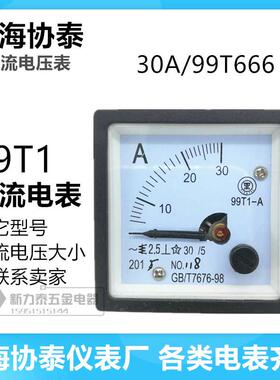 上海协泰交直流电流电压表99T1 30A GB/T7676-98（99T666）指针式