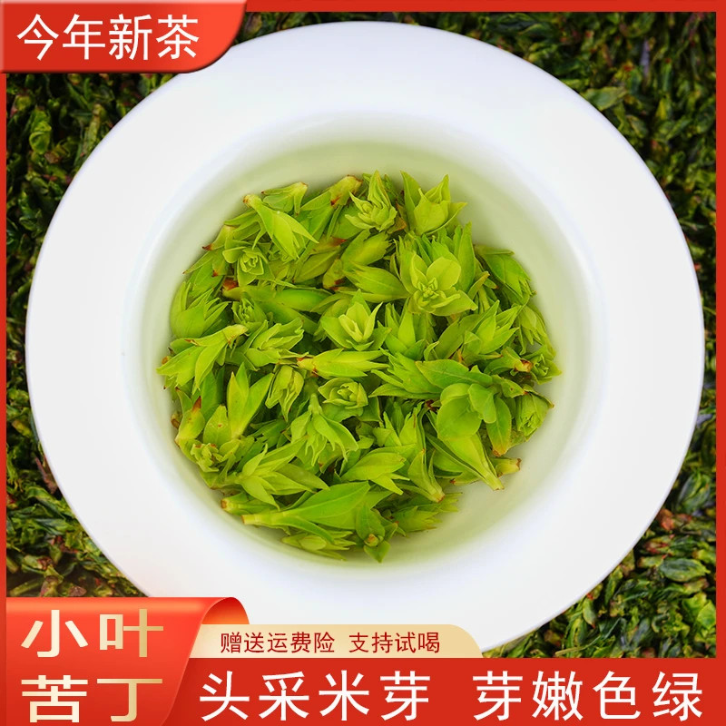 2026年新茶 小叶苦丁茶 嫩芽 全芽头春头采 高山四川青山绿水