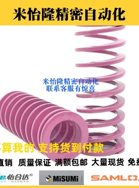 SWC20-20/30/40/50/60/70/80/90/100/200/300浅紫色矩形螺旋弹簧