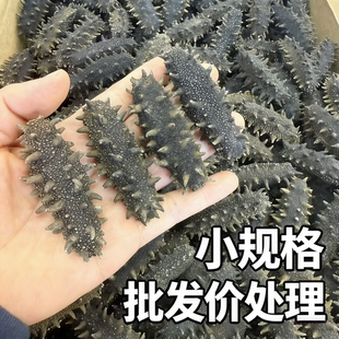 大连淡干海参辽参刺参干货特价批发小规格清仓价