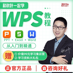 和秋叶一起学wps教程视频PPT Word全套零基础办公视频课 Excel