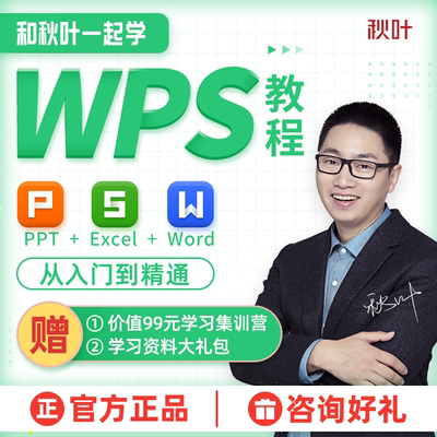 和秋叶一起学wps教程视频PPT Excel Word全套零基础办公视频课