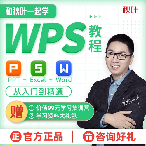 wps全套教程视频零基础通俗易懂 入门到精通